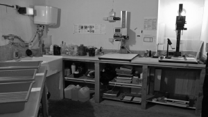 creatifsphoto004001.gif