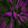 creatifsphoto006014.gif