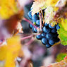 creatifsphoto006016.jpg